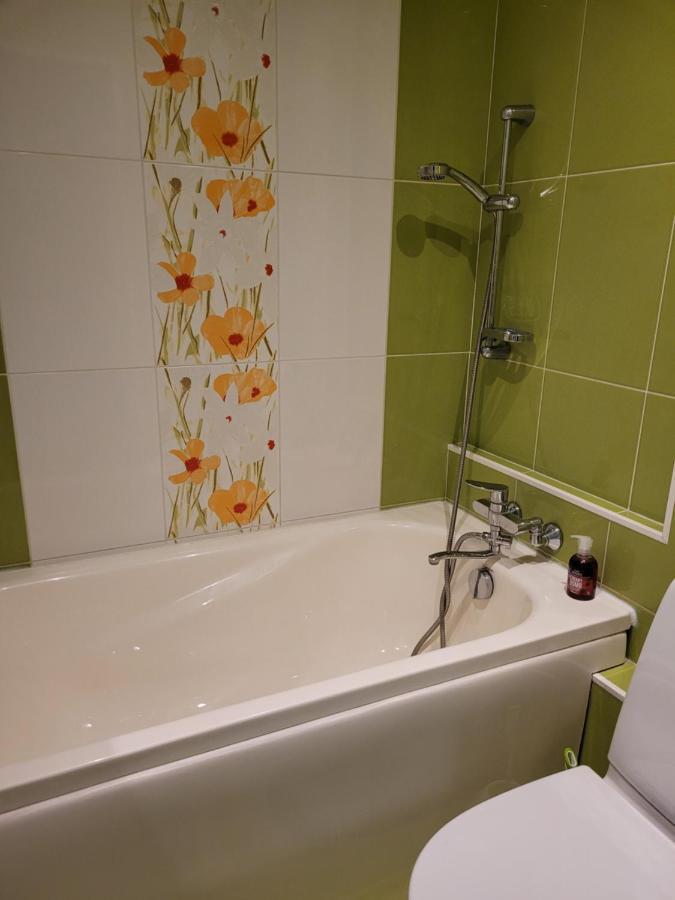 City Apartment Єлгава Екстер'єр фото