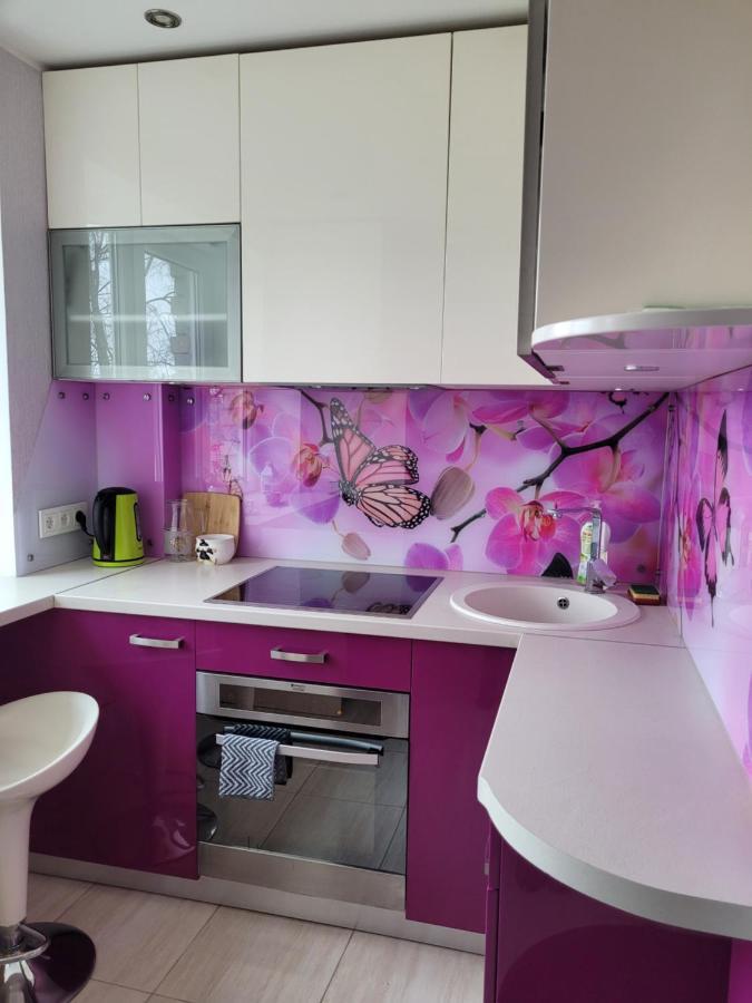 City Apartment Єлгава Екстер'єр фото